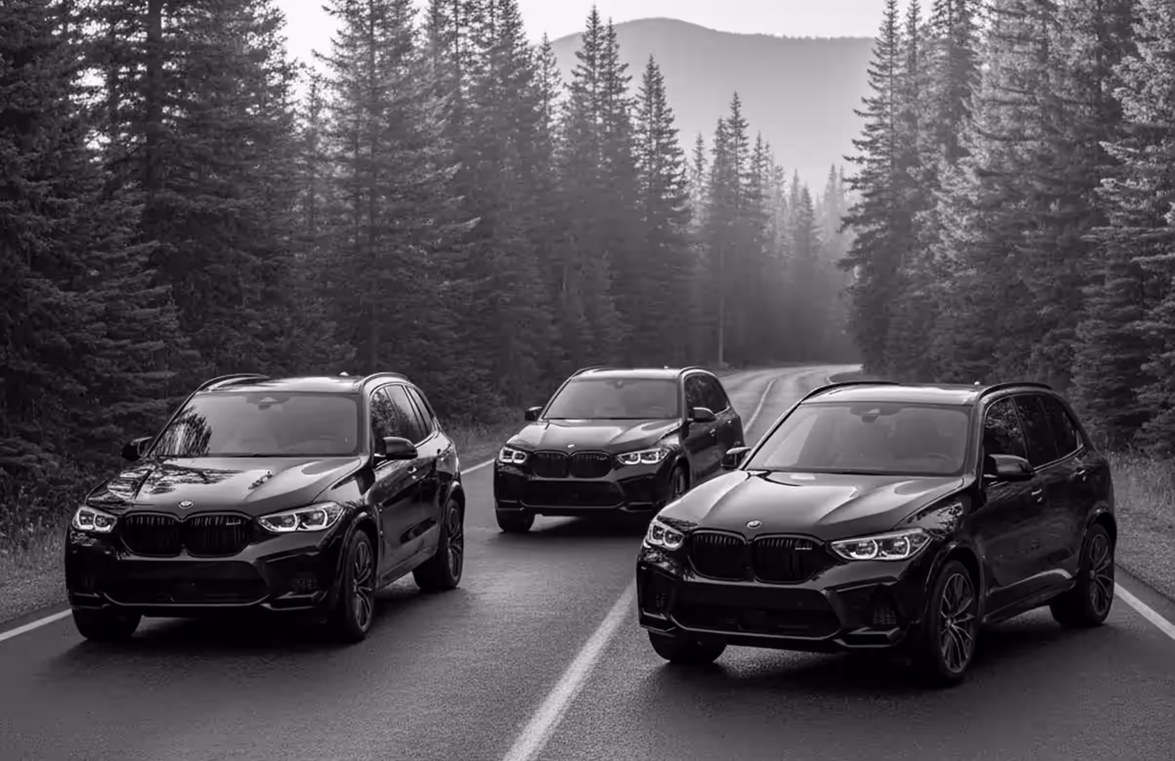 BMW cars