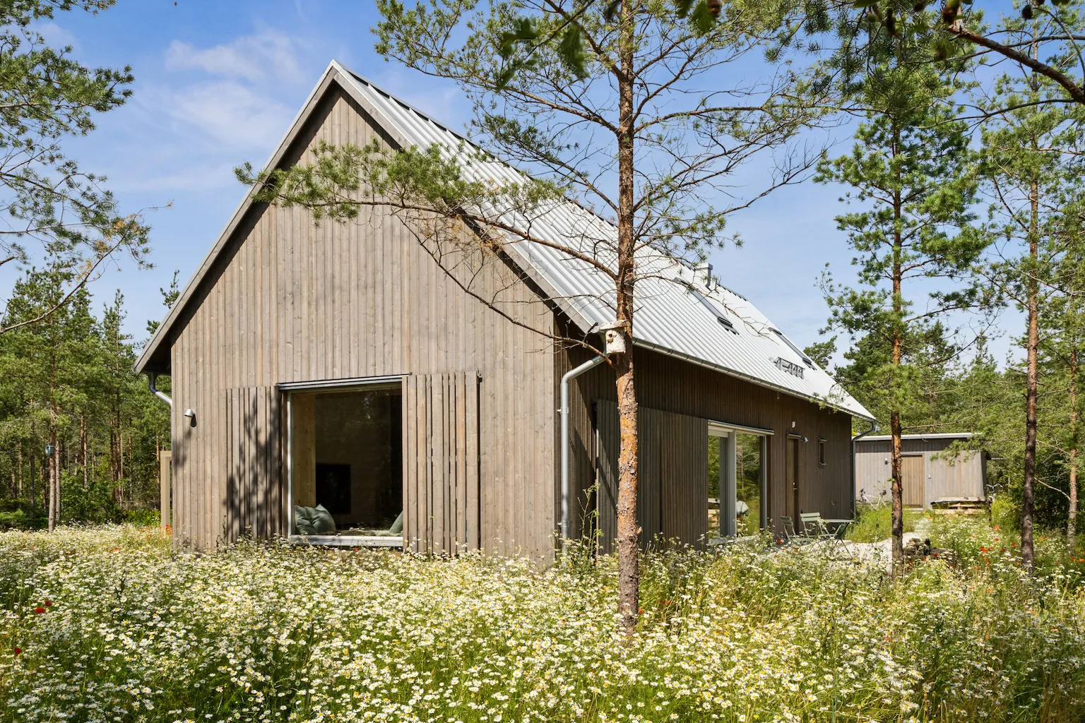 A finished wooden house with vertical paneling and a metal roof, nestled in a sunlit forest clearing with wildflowers and pine trees.