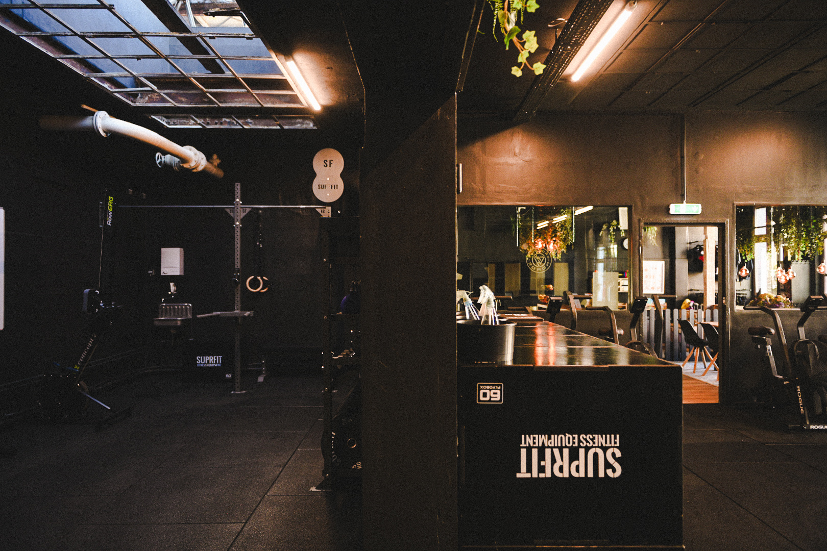 image of delicious entrees for a chinese restaurant