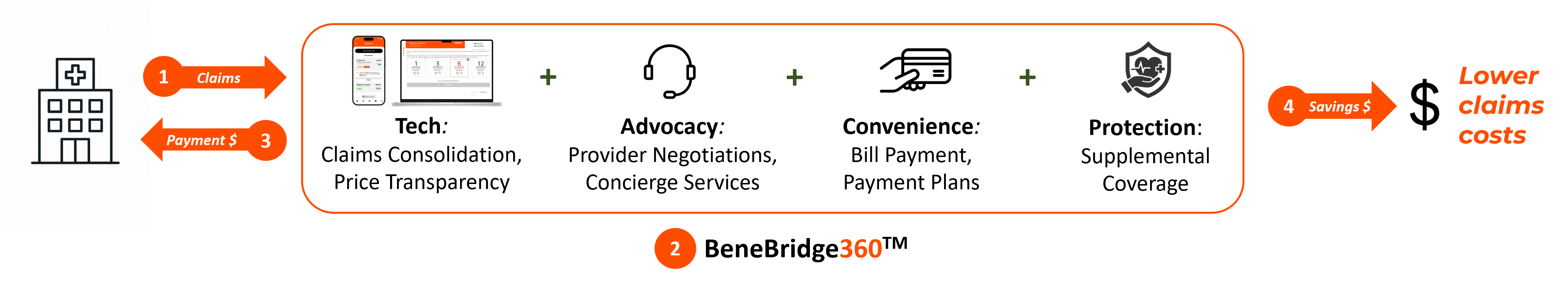 BeneBridge360 Program Graphic