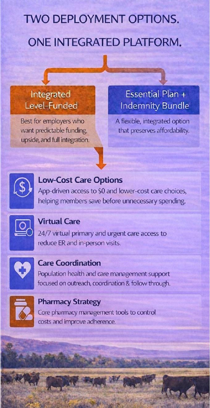 Visual showing two deployment options and the integrated platform