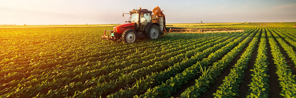 A wide shot of a red tractor spraying crops in a green field at sunrise or sunset, with a bright orange glow on the horizon.