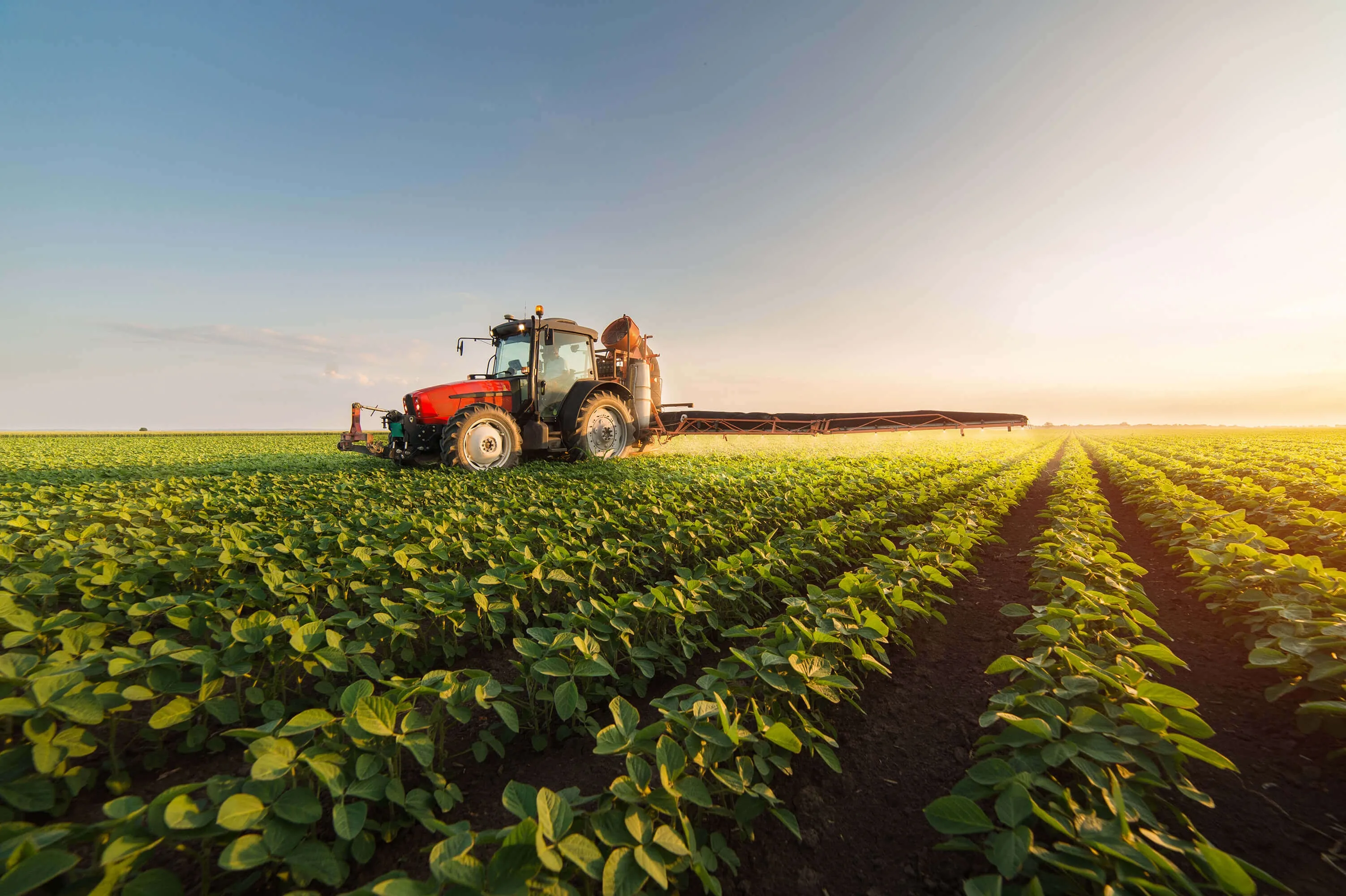A red tractor with a sprayer attachment drives through rows of lush green crops in a field under a bright sky, with the sun setting or rising in the background.