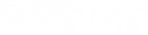 danløn  logo