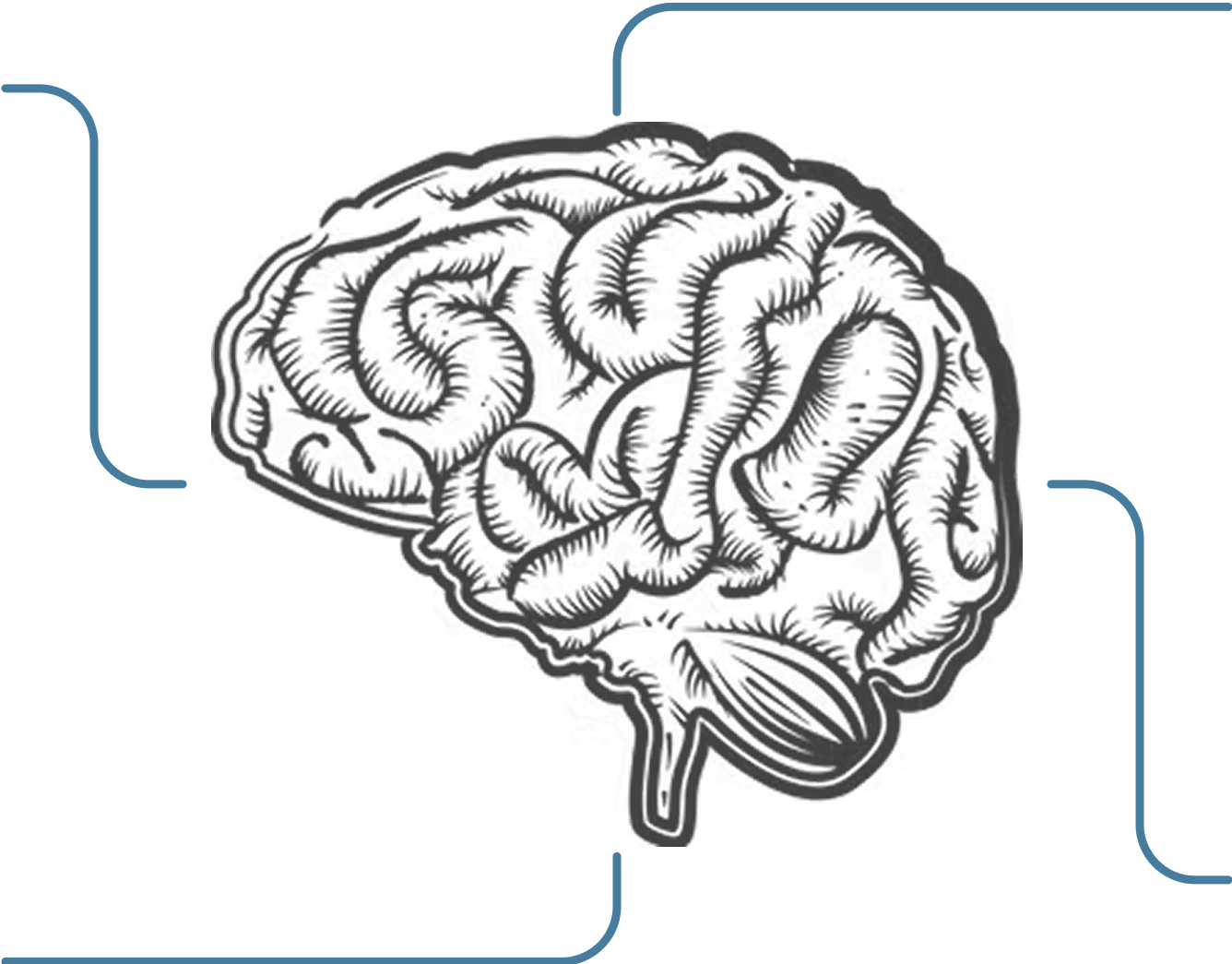 brain