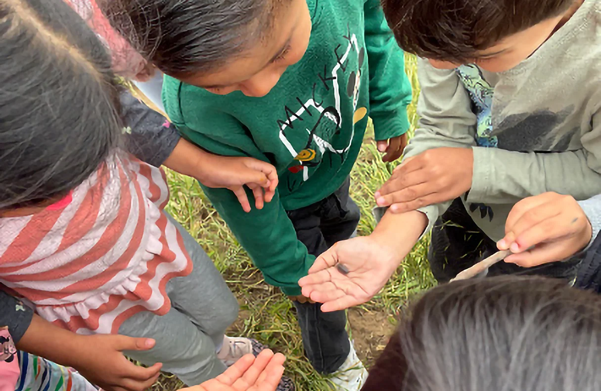Children huddled outdoors on the grass, looking closely at something in open hands