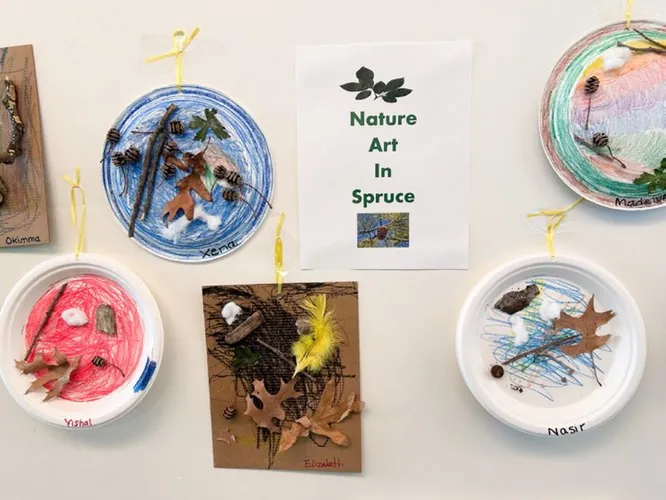 Classroom photo for the Nature in Our Neighborhood unit