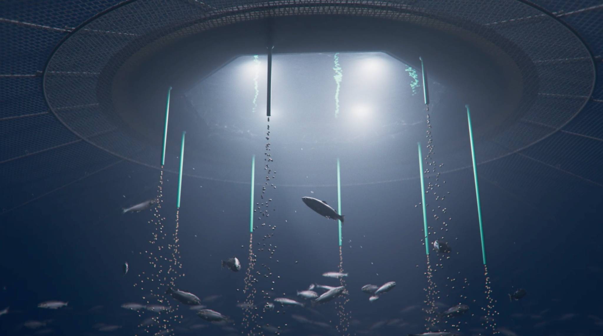 Protecting your values with Mardeep deep water farming