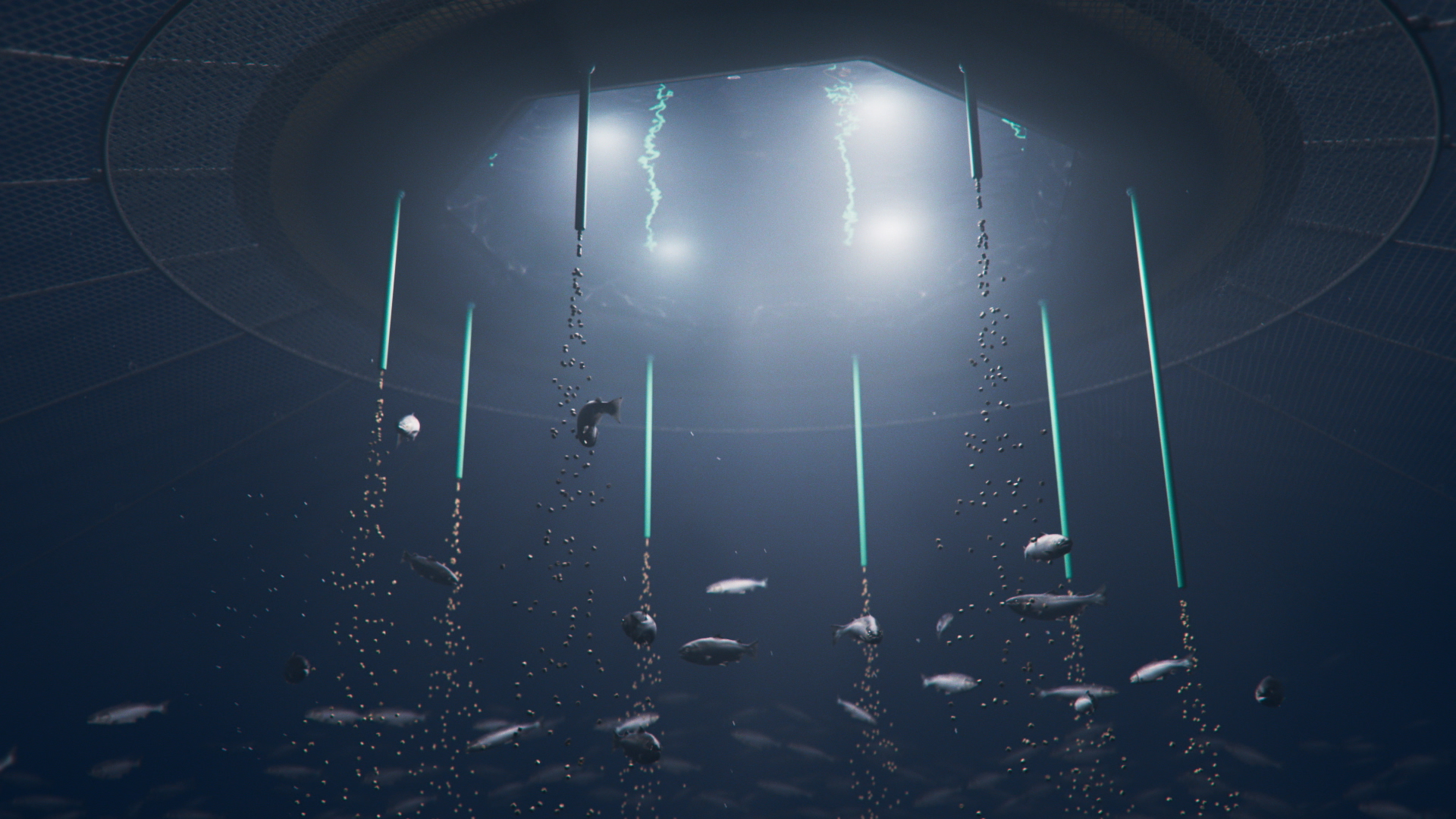 Aquaculture project - submersible farming