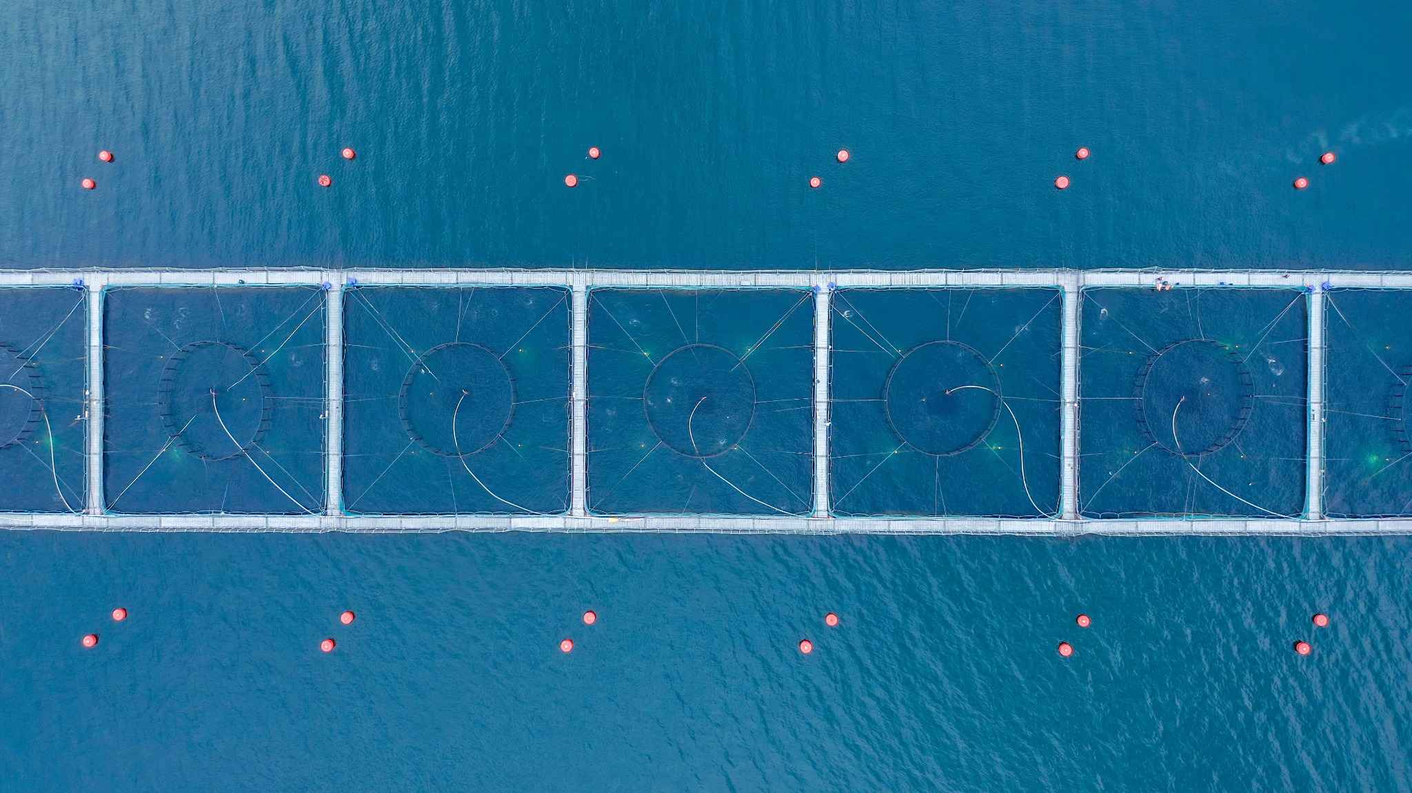 Women working in front of a computer