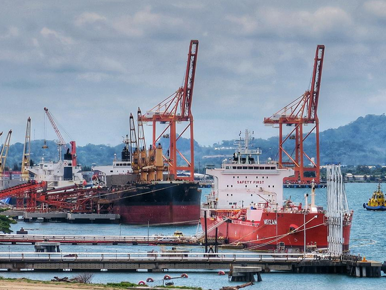 Large cargo ships docked at a port with orange cranes and a backdrop of hills under a cloudy sky.