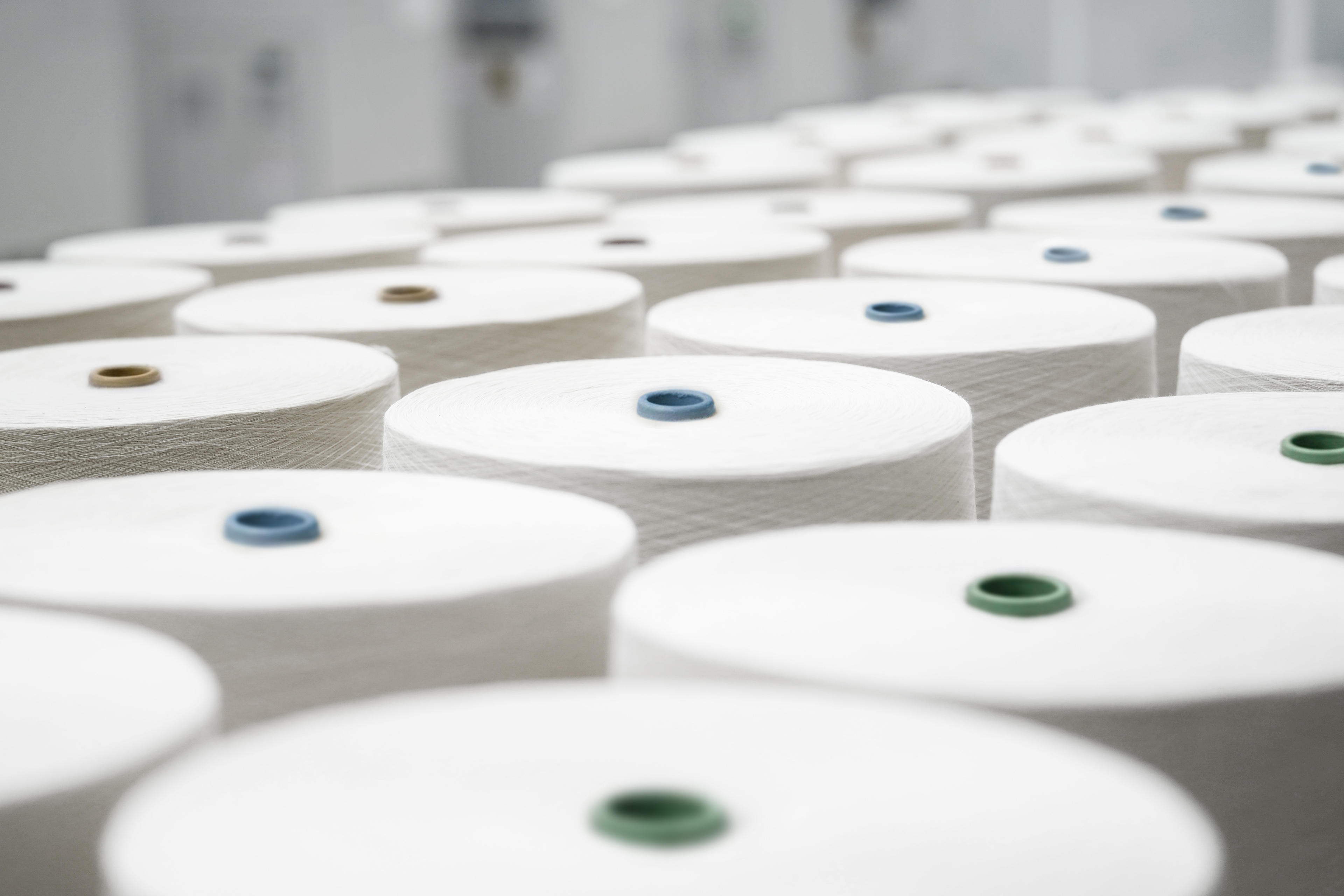 Rows of large white yarn spools with colored centers in a textile factory.