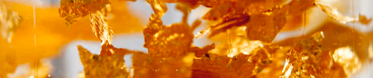 Oro visto al microscopio