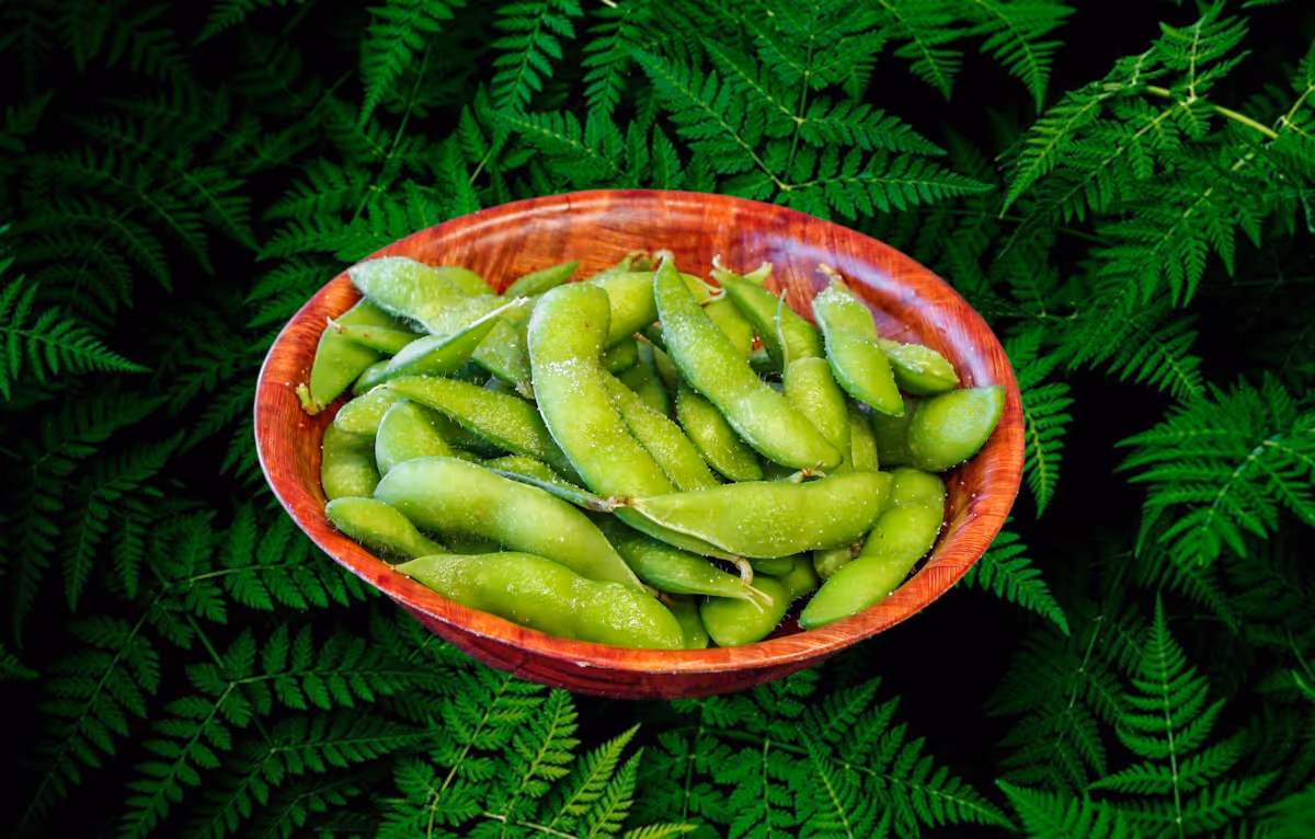 Edamame on a plate