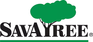 SavaTree Logo