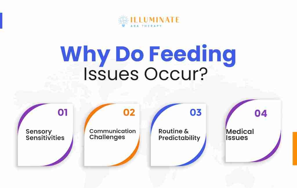 Why Do Feeding