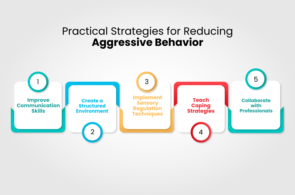 Practical Strategies for Reducing Aggressive Behavior