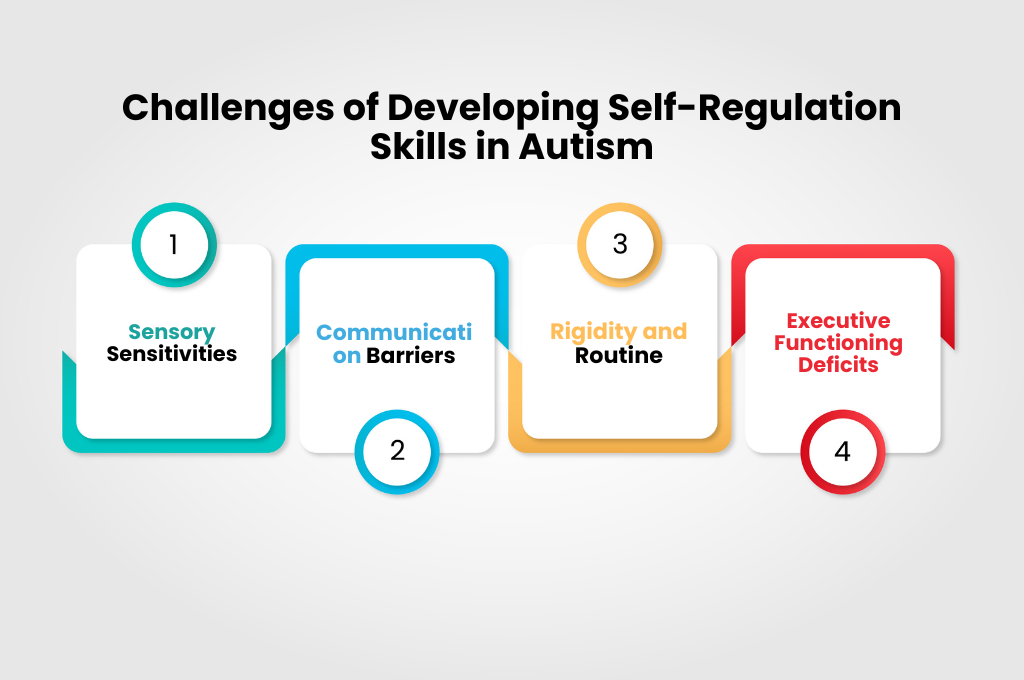 Challenges of Developing Self Regulation Skills in Autism