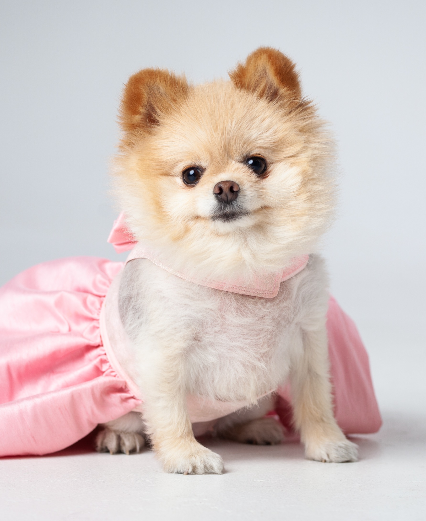 Headshot of Foxy Brown