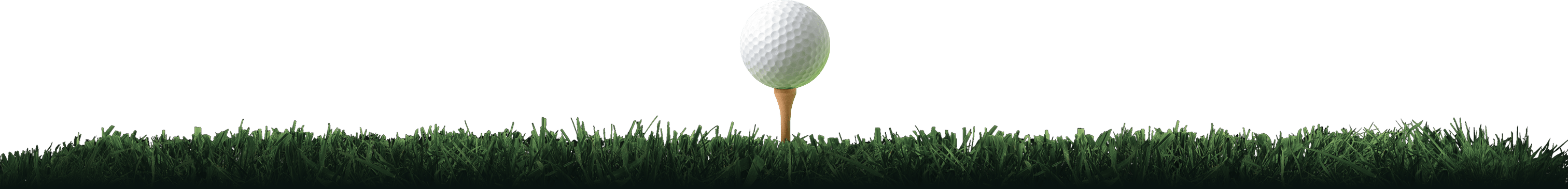 Golfball in Grass