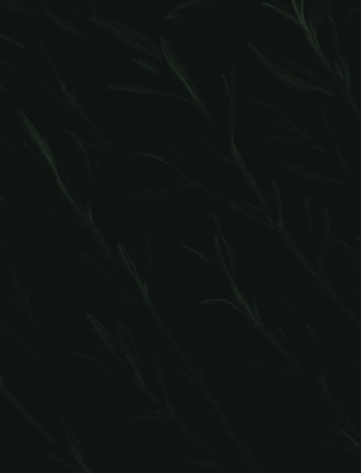 Leaf Image