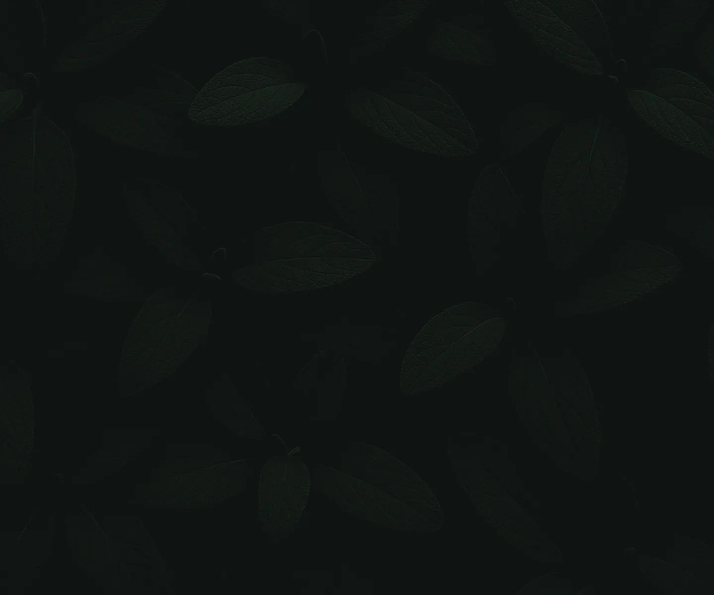 A black background with green leaves on it.