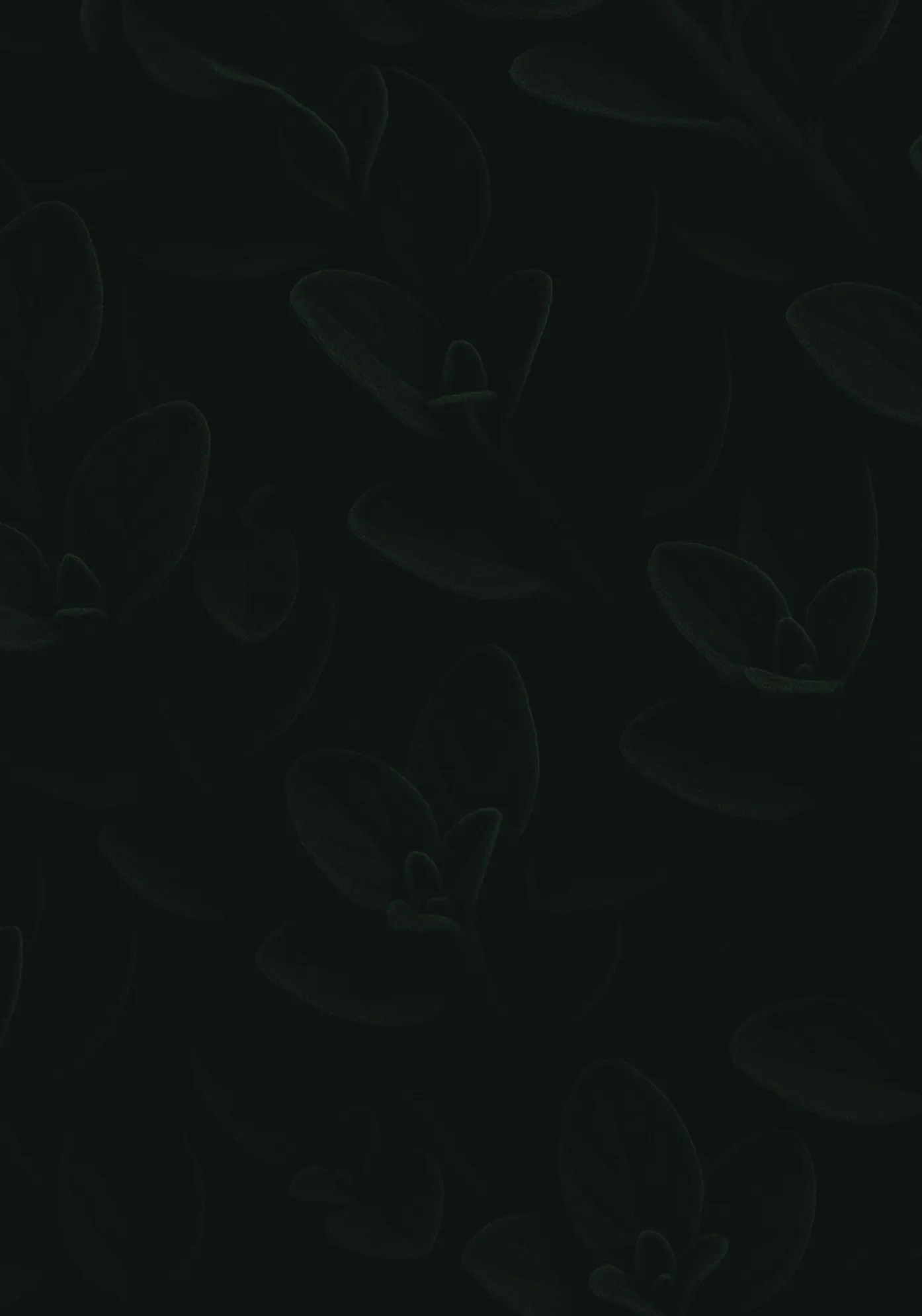 A black background with a bunch of leaves on it.
