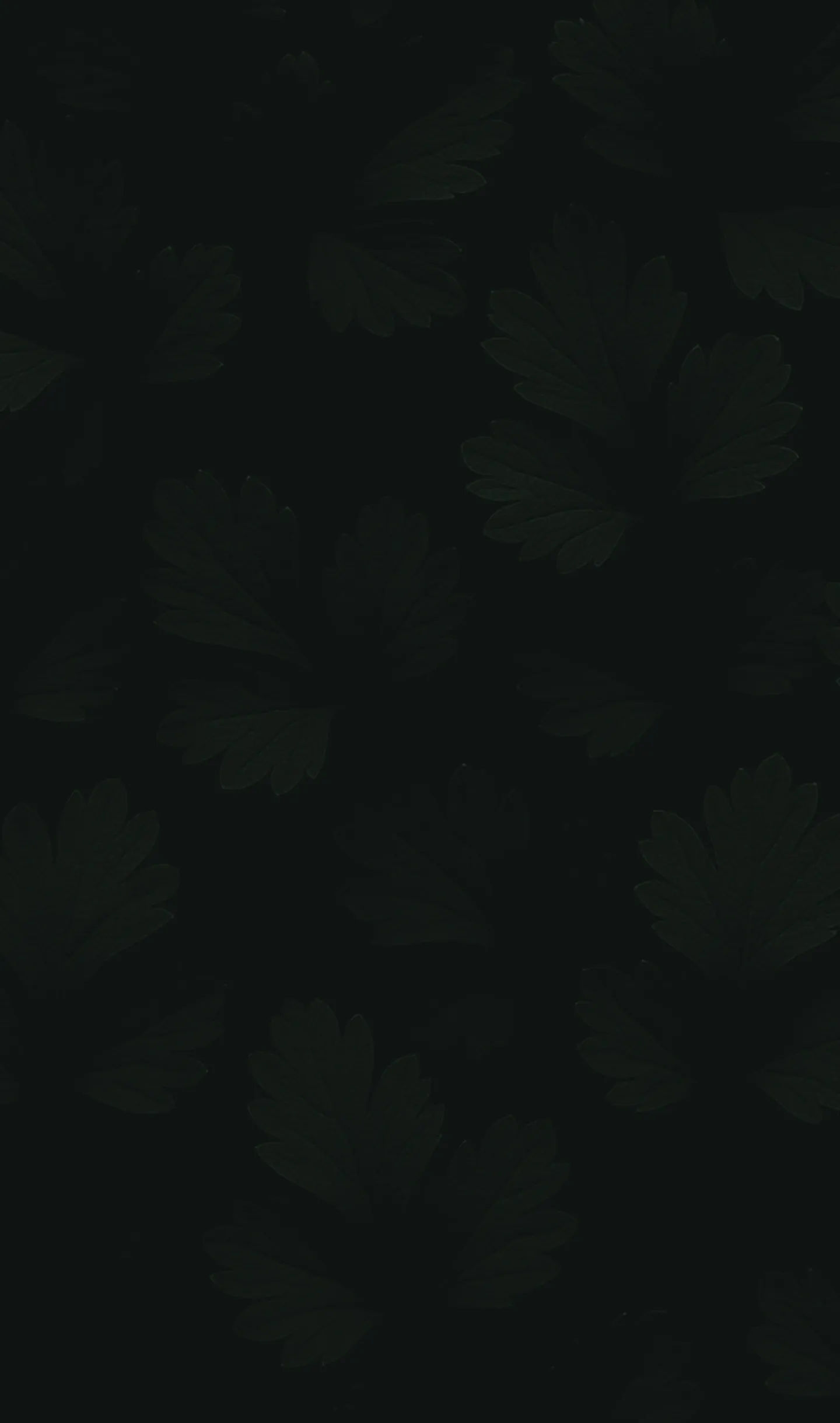 A black background with a bunch of leaves on it.