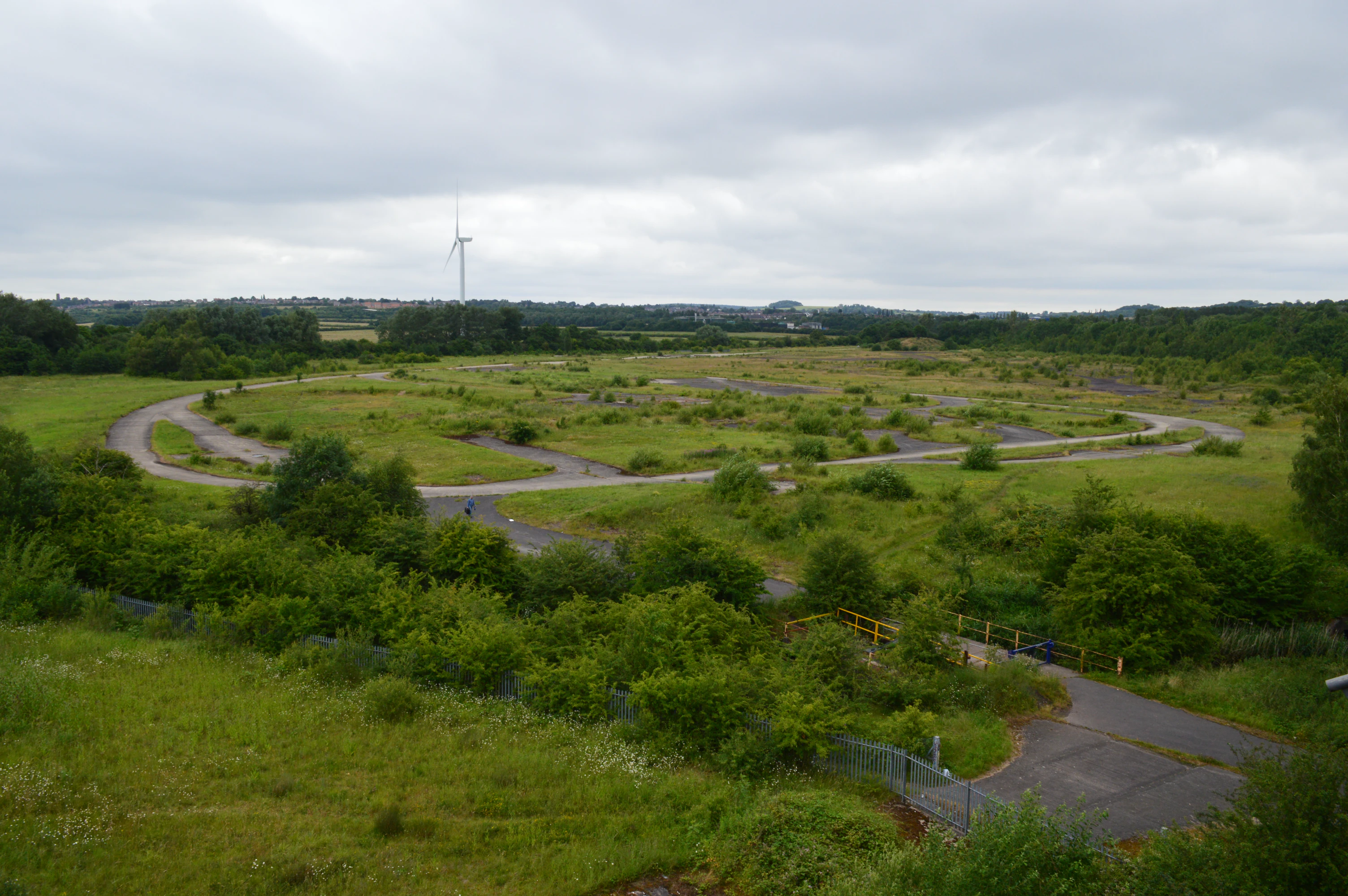 Paved tracks winding through a green field with bushes and a wind turbine in the distant background under a cloudy sky.