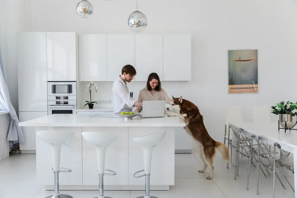 Pet-friendly kitchen LVP flooring renovation Surrey White Rock Langley BC 2026