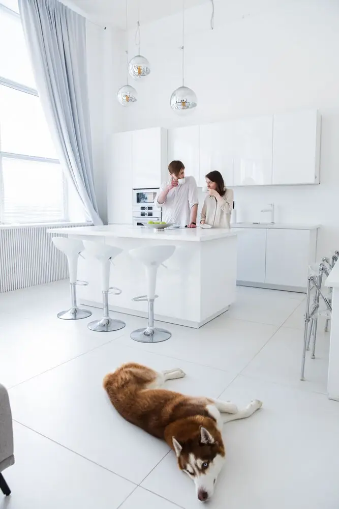 Pet-friendly kitchen quartz countertop renovation Surrey White Rock Langley BC