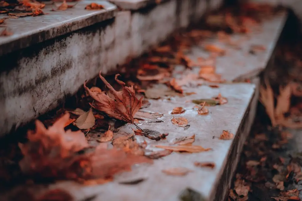 Fall gutter cleaning home maintenance Surrey White Rock Langley BC