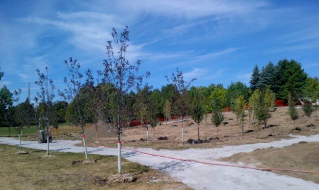 markham-20160909-00253-b