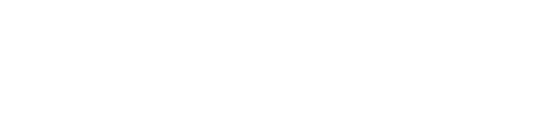 esri Partner Network Logo (White)