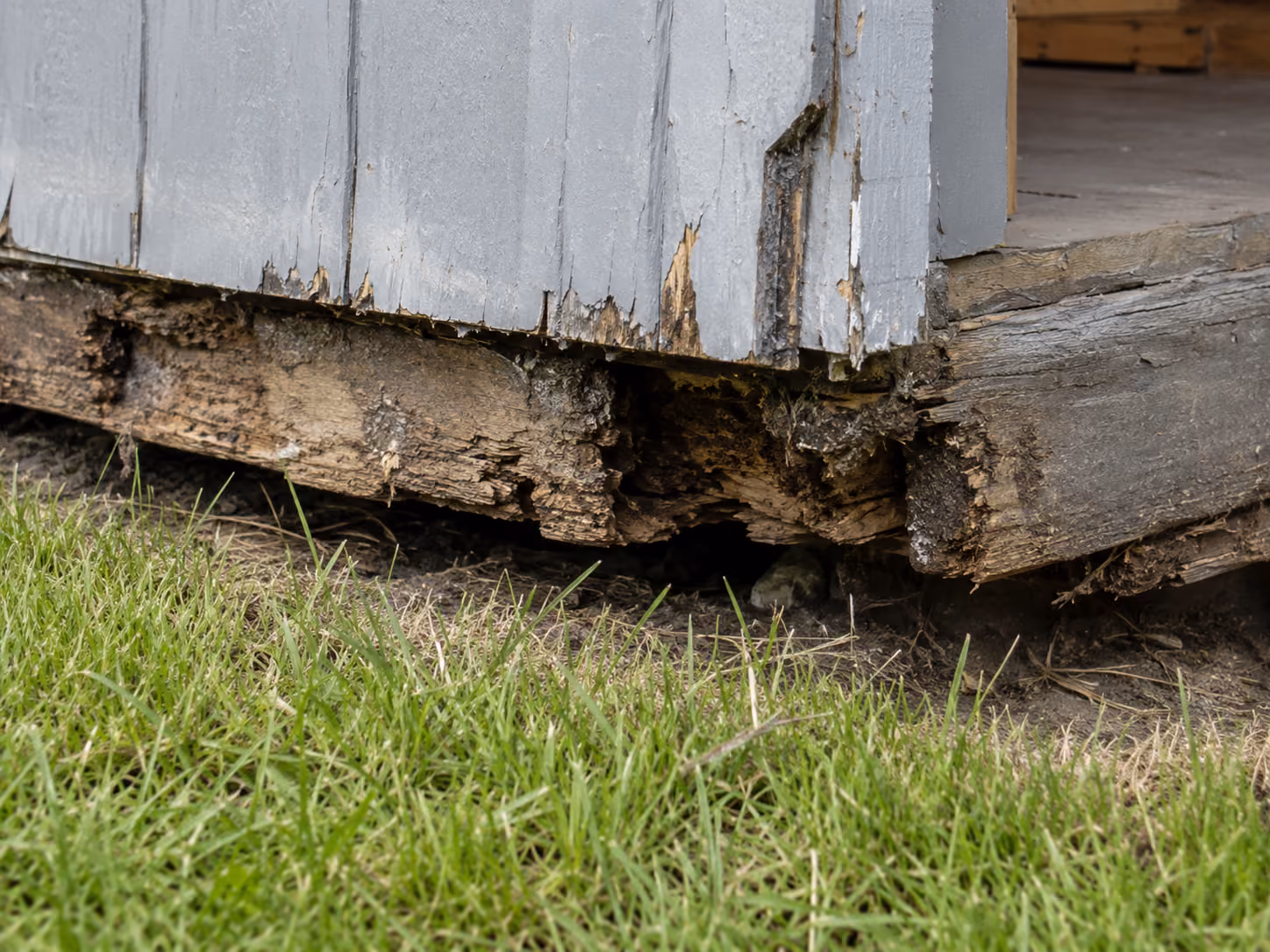 Close-up of rotted wood and failing floor joists at the base of a storage shed
