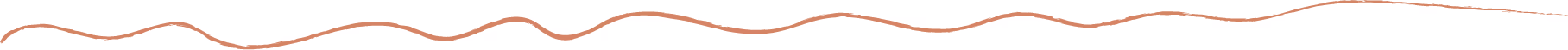 Hand drawn wavy line used as a page divider.