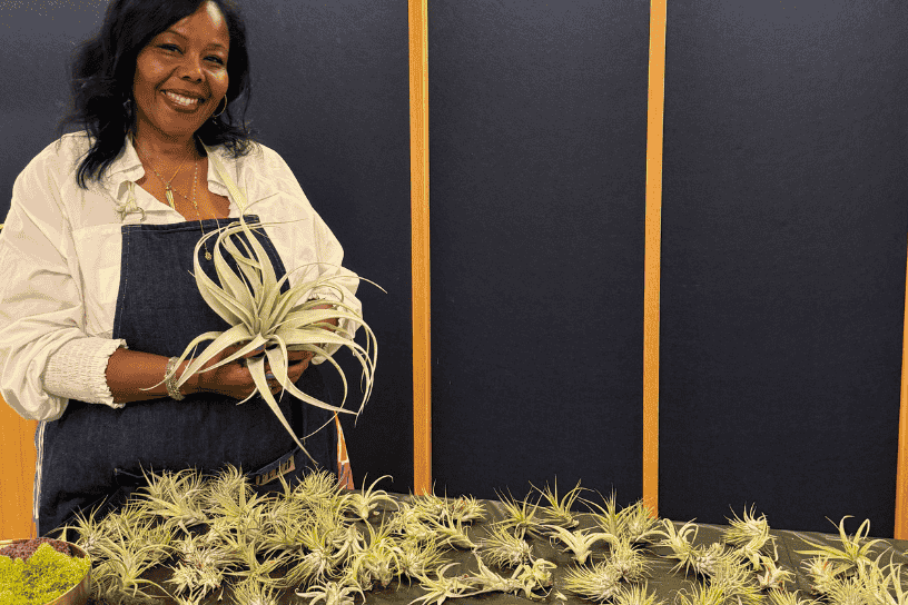 about hero content img