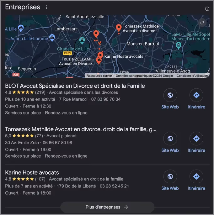 Résultat de recherche google my business pour "avocat droit de la famille à lille"