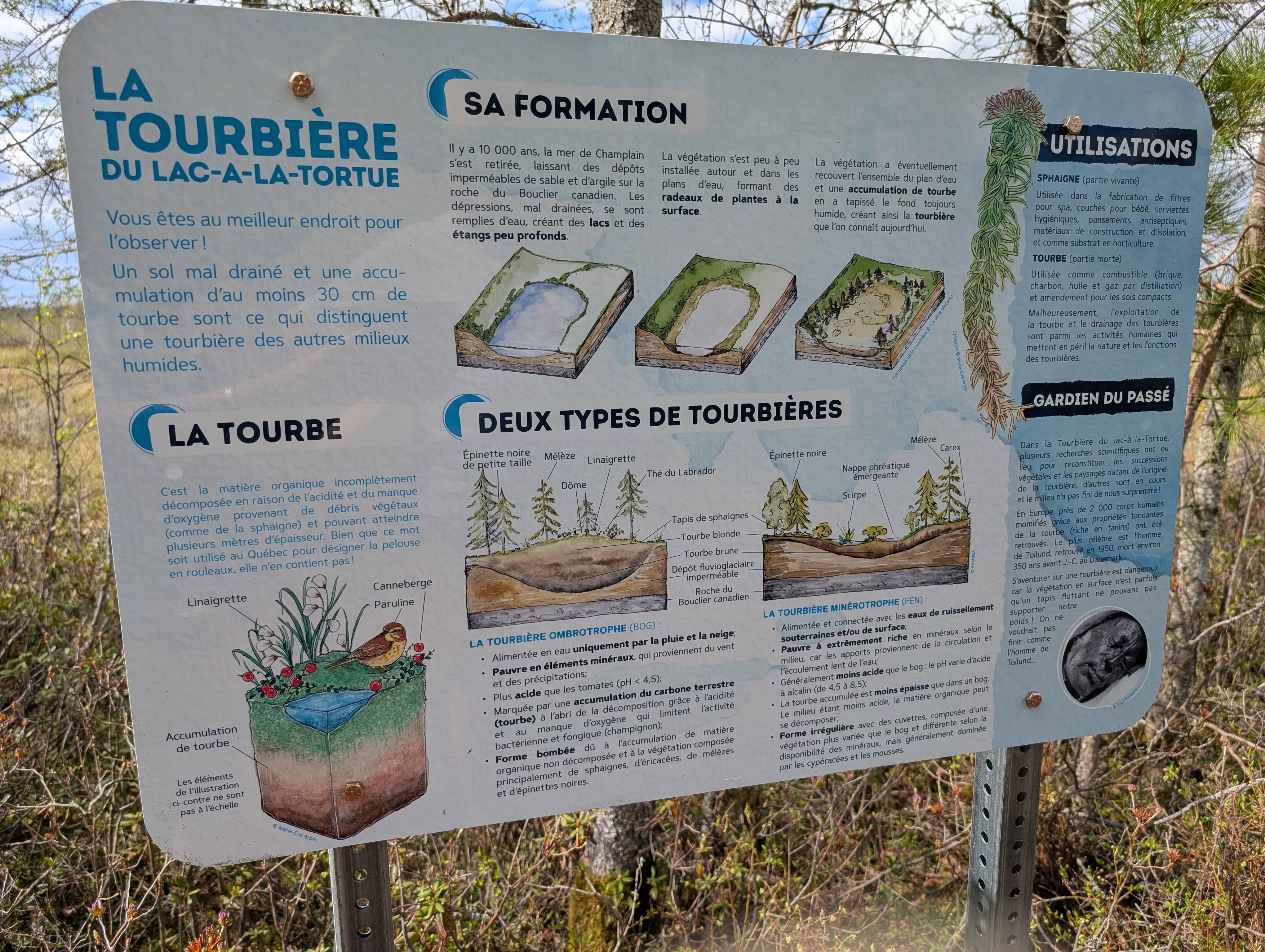 Parc Cœur Nature - Tourbière du Lac-à-la-Tortue 
