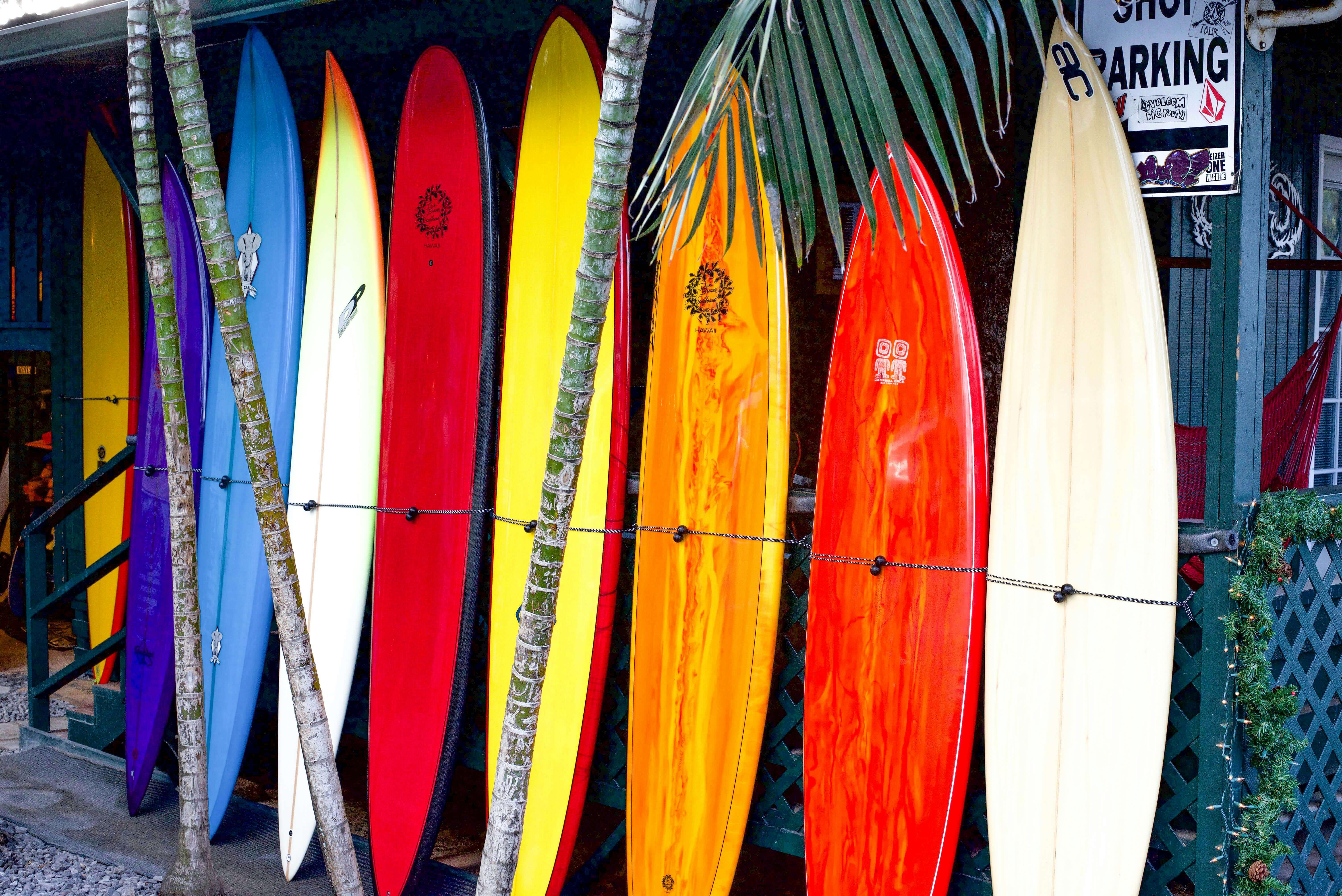 Best Beginner Surfboards: Top Picks for New Surfers