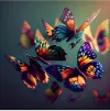 Instagram Image