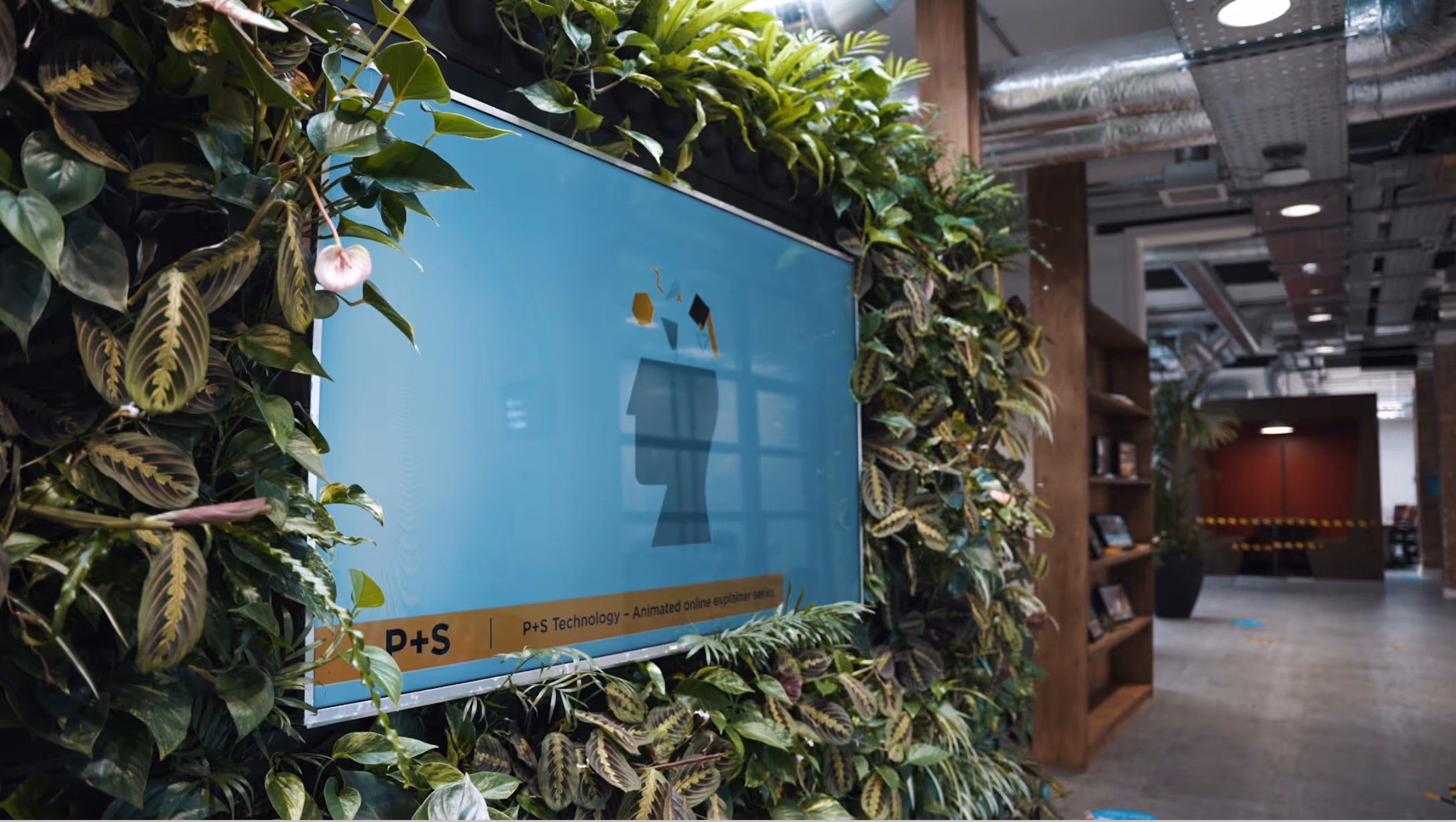 The living wall in the P+S office working towards net zero ambitions