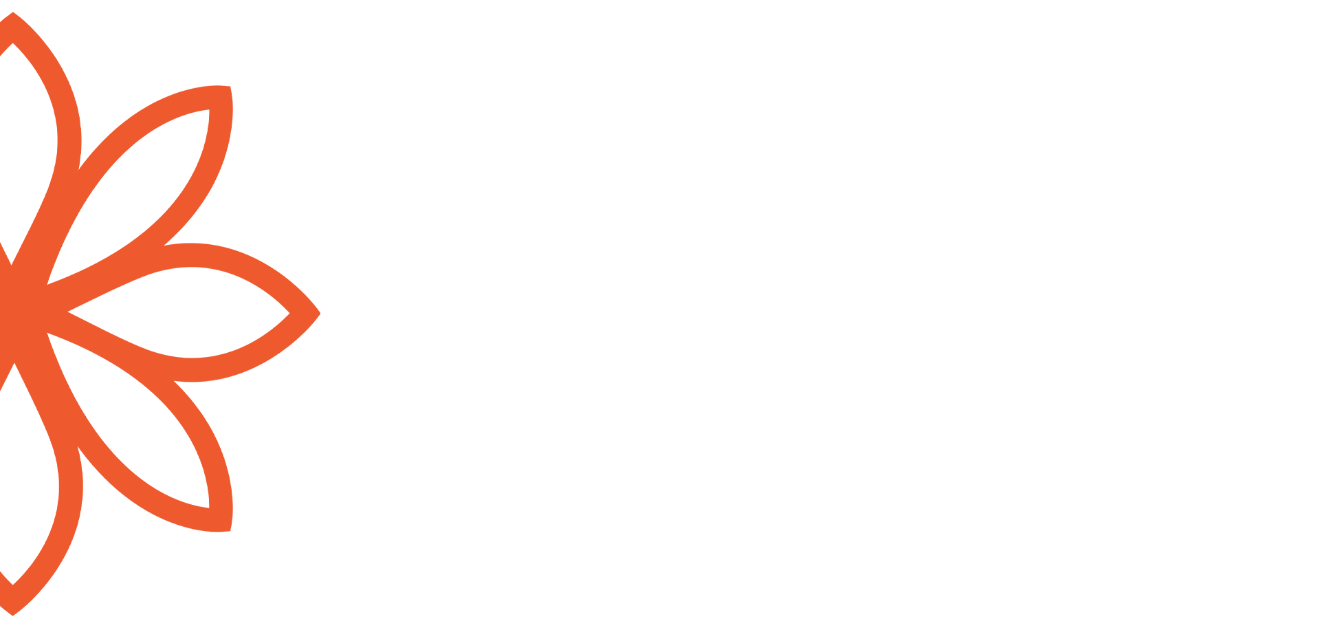 Orange stylized flower outline with six petals on a white background.