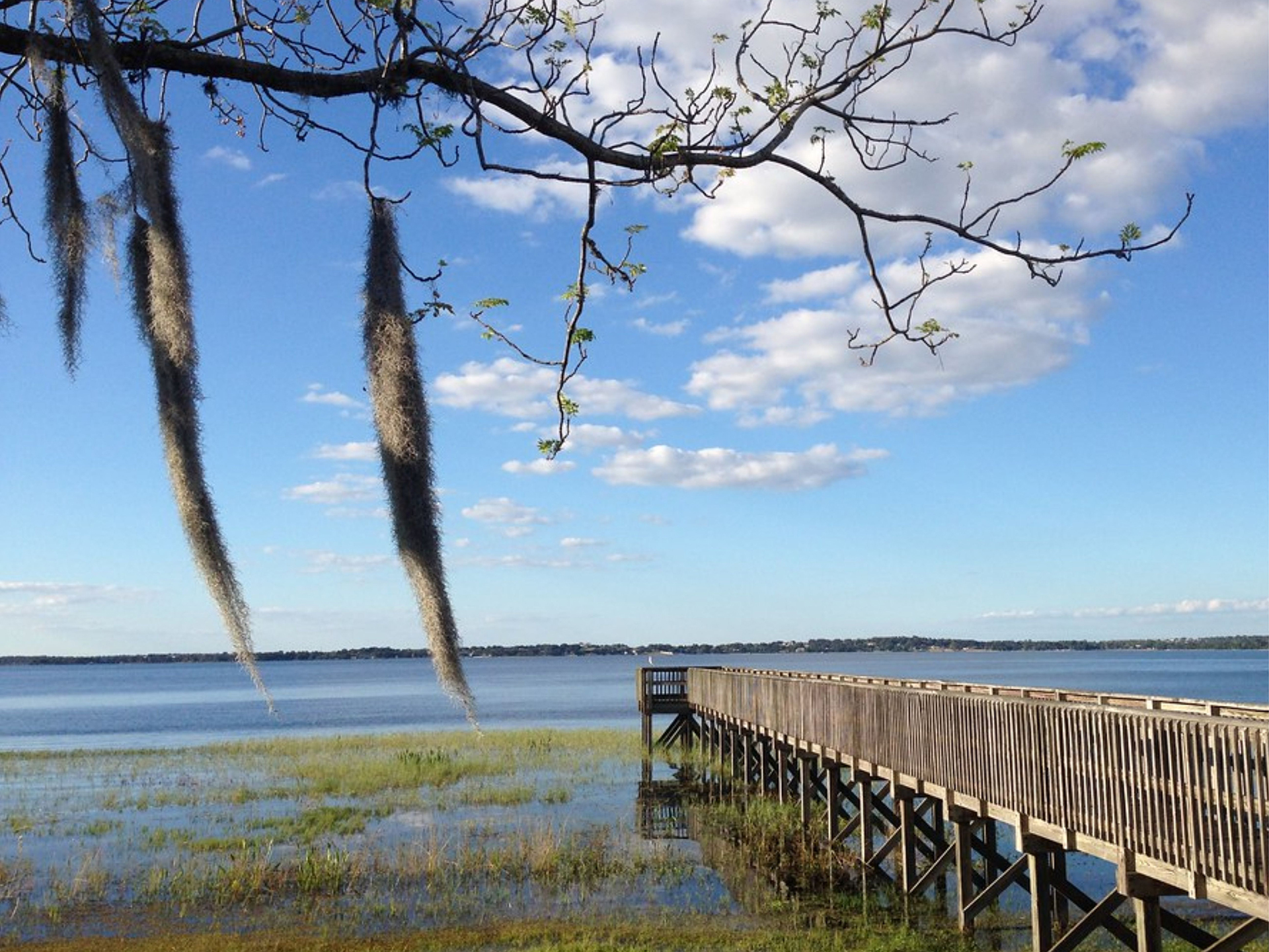 Wooden pier extending over a calm lake with hanging Spanish moss and tree branches in the foreground under a partly cloudy blue sky.