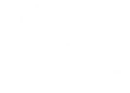 Toyota logo.