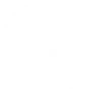 BMW logo.