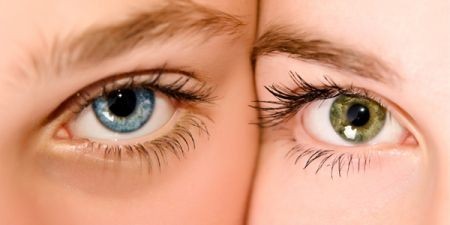 Guard Your Good Vision
