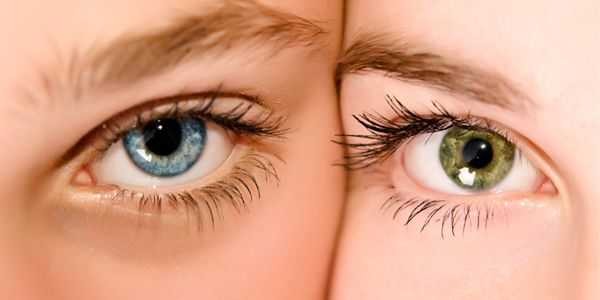 What Your Eye Exam Says About Your Health