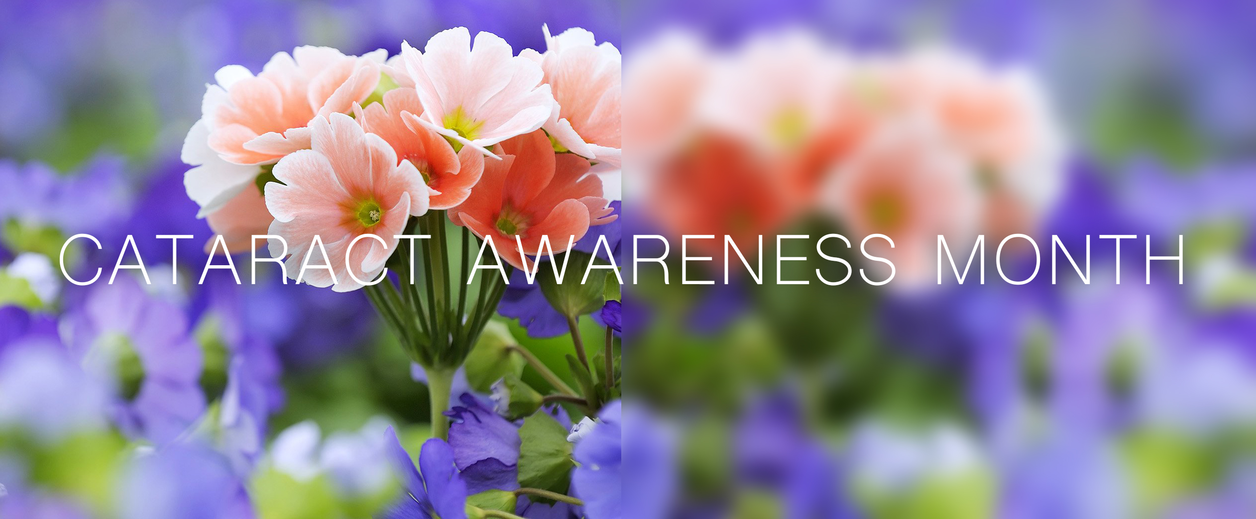 June is Cataract Awareness Month