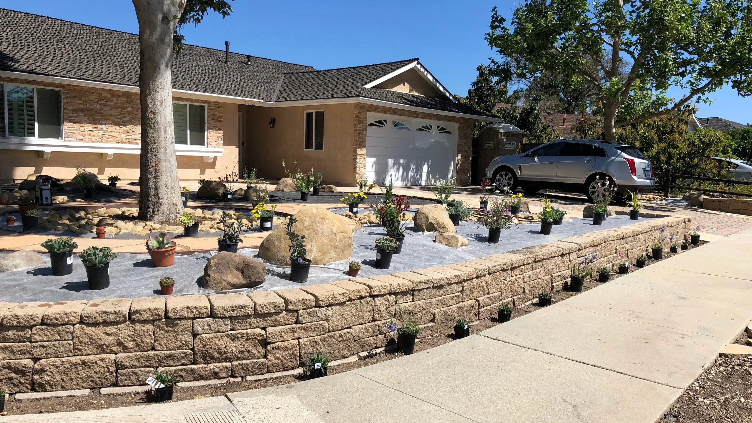 Planting